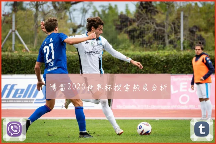 博雷2026世界杯搜索热度分析