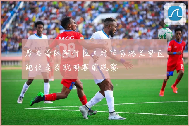 摩洛哥队阿什拉夫对阵苏格兰禁区跑位是否聪明赛前观察