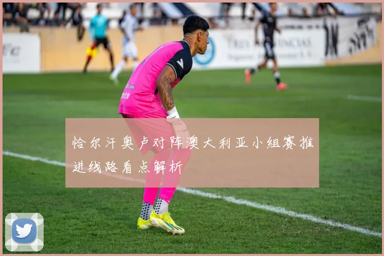 恰尔汗奥卢对阵澳大利亚小组赛推进线路看点解析