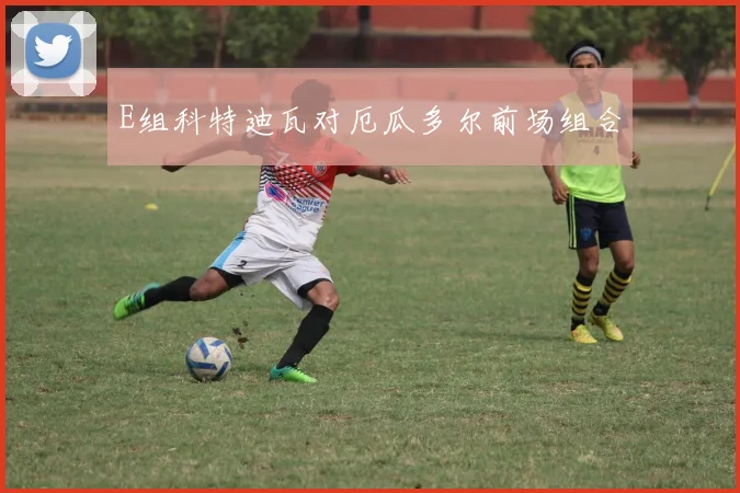 E组科特迪瓦对厄瓜多尔前场组合